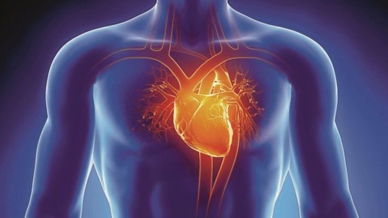 Ο Γιώργος Ψαθέρης για τον διαβήτη και τις καρδιαγγειακές παθήσεις