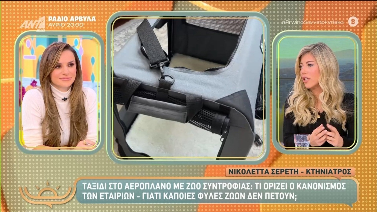 Οδηγίες για τη μεταφορά κατοικιδίων με αεροπλάνο