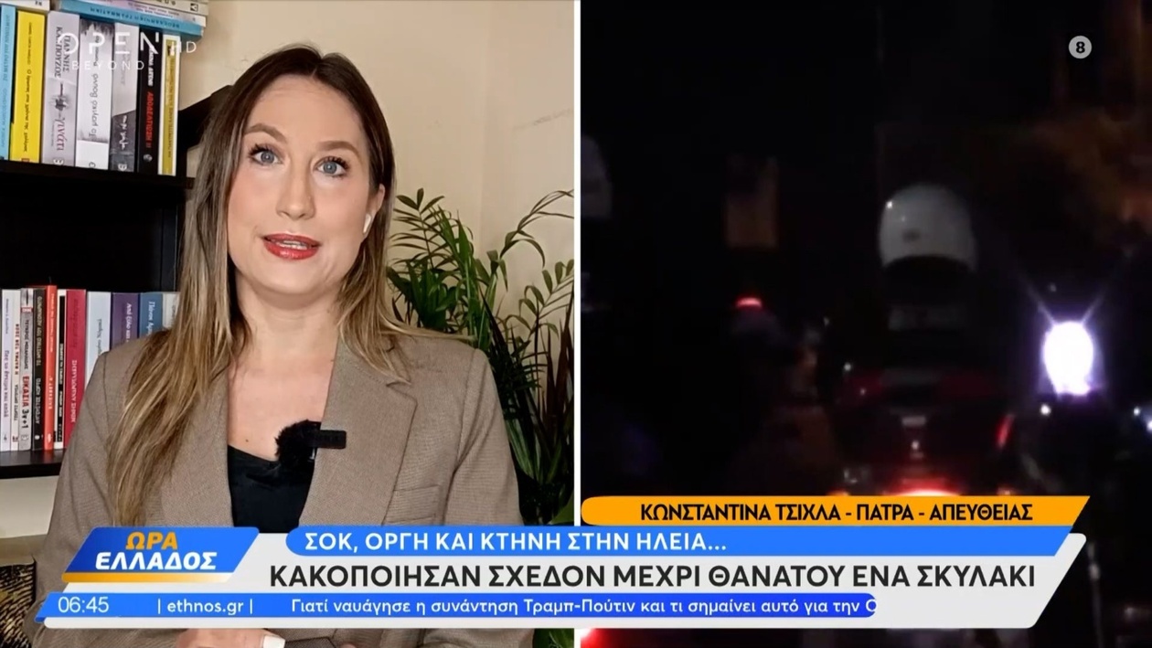 Σοκ στην Ηλεία από ακραία κακοποίηση σκύλου στο Επιτάλιο