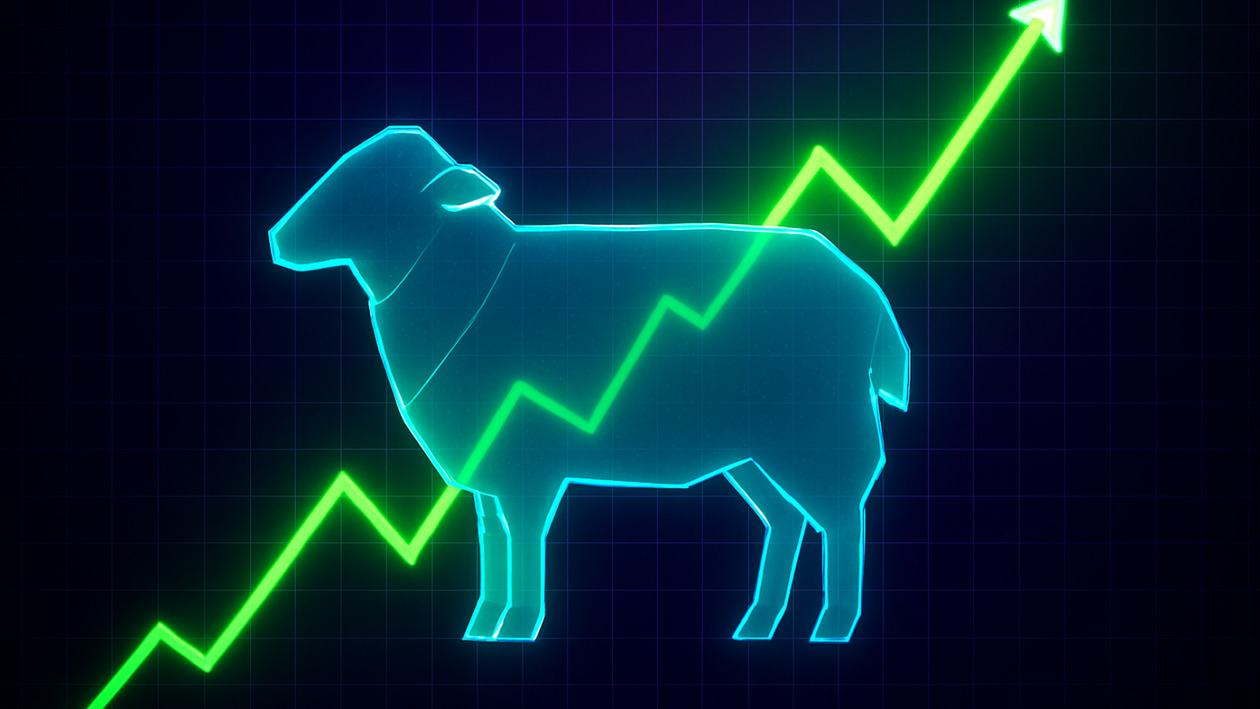 Ευλογιά προβάτων: Νέες πληρωμές 26 εκατ. ευρώ σε κτηνοτρόφους – Οι δικαιούχοι και τα ποσά