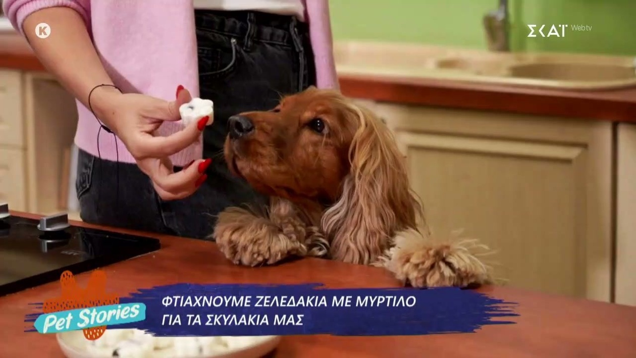 Το Pet Stories επιστρέφει στον ελληνικό τηλεοπτικό σταθμό SKAI