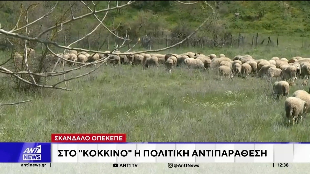 ΟΠΕΚΕΠΕ: Κλιμακώνεται η πολιτική αντιπαράθεση μετά τις νέες αποκαλύψεις