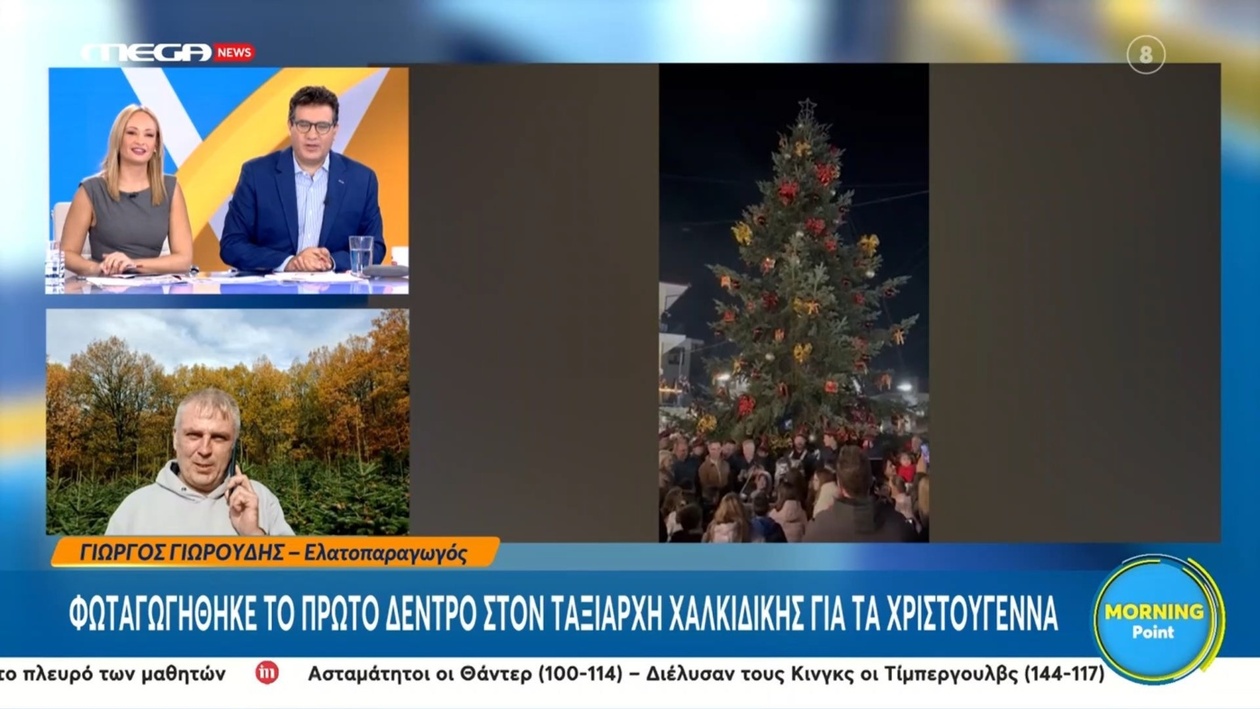 Στον Ταξιάρχη της Χαλκιδικής φωταγωγήθηκε το πρώτο χριστουγεννιάτικο δέντρο