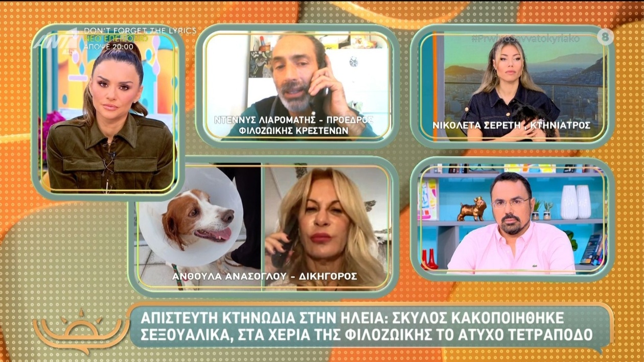 Απίστευτη κακοποίηση σκύλου στην Ηλεία προκαλεί αντιδράσεις