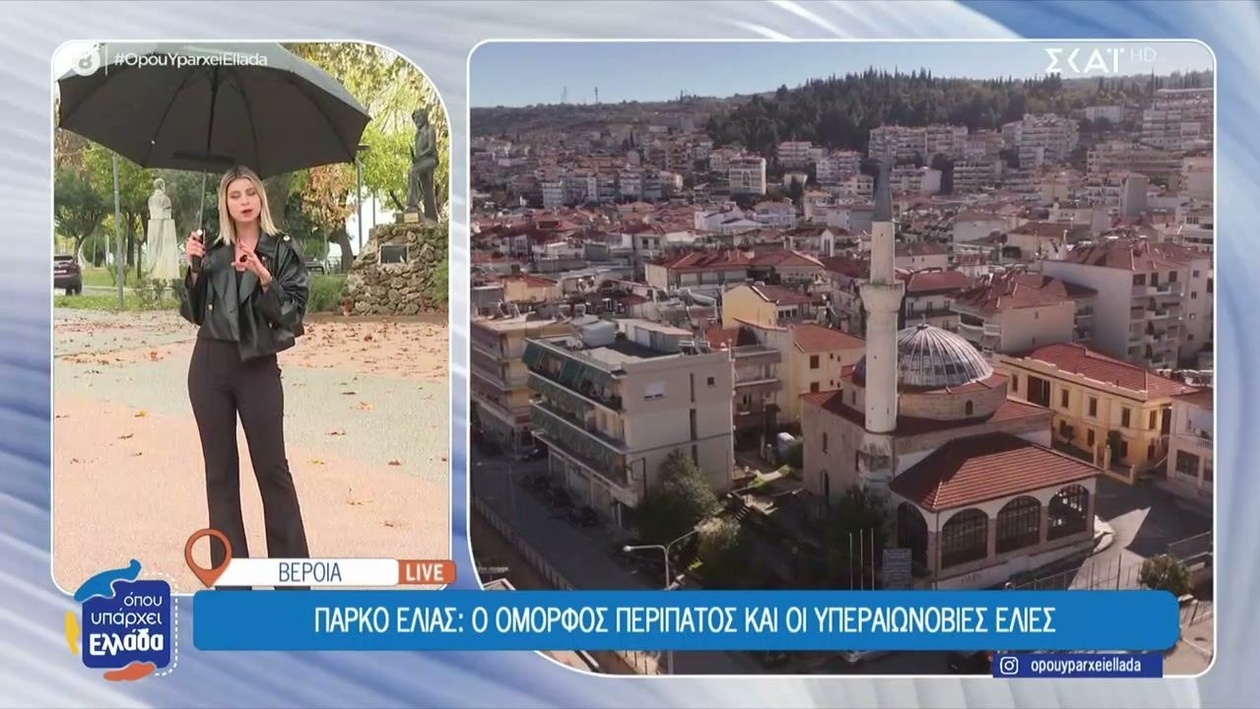 Ρεπορτάζ από τη Βέροια: η υπόθεση Άλκη Καμπανού και η κληρονομιά της καπνοκαλλιέργειας