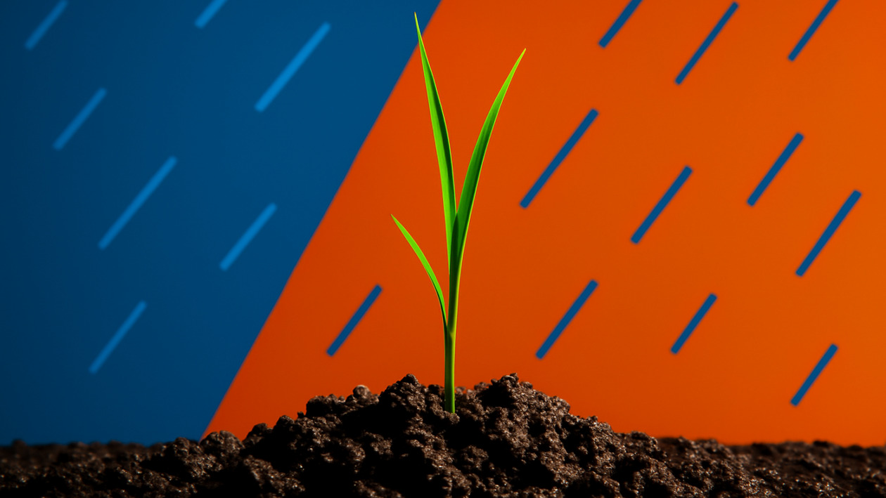 Σρι Λάνκα: Σε απόγνωση οι αγρότες μετά τον κυκλώνα Ditwah και την καταστροφή των καλλιεργειών