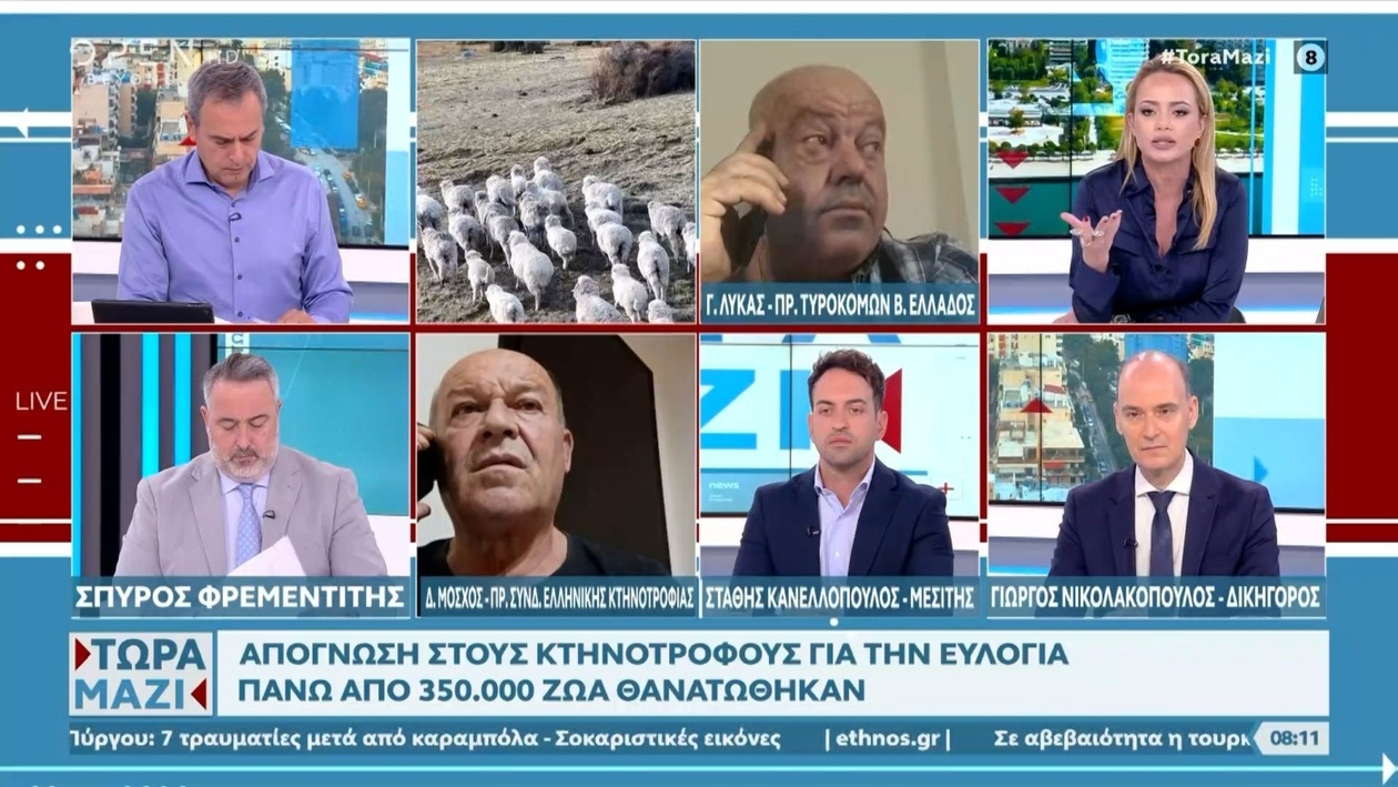 Οι τιμές του τυριού ενδέχεται να αυξηθούν λόγω μείωσης της παραγωγής γάλακτος