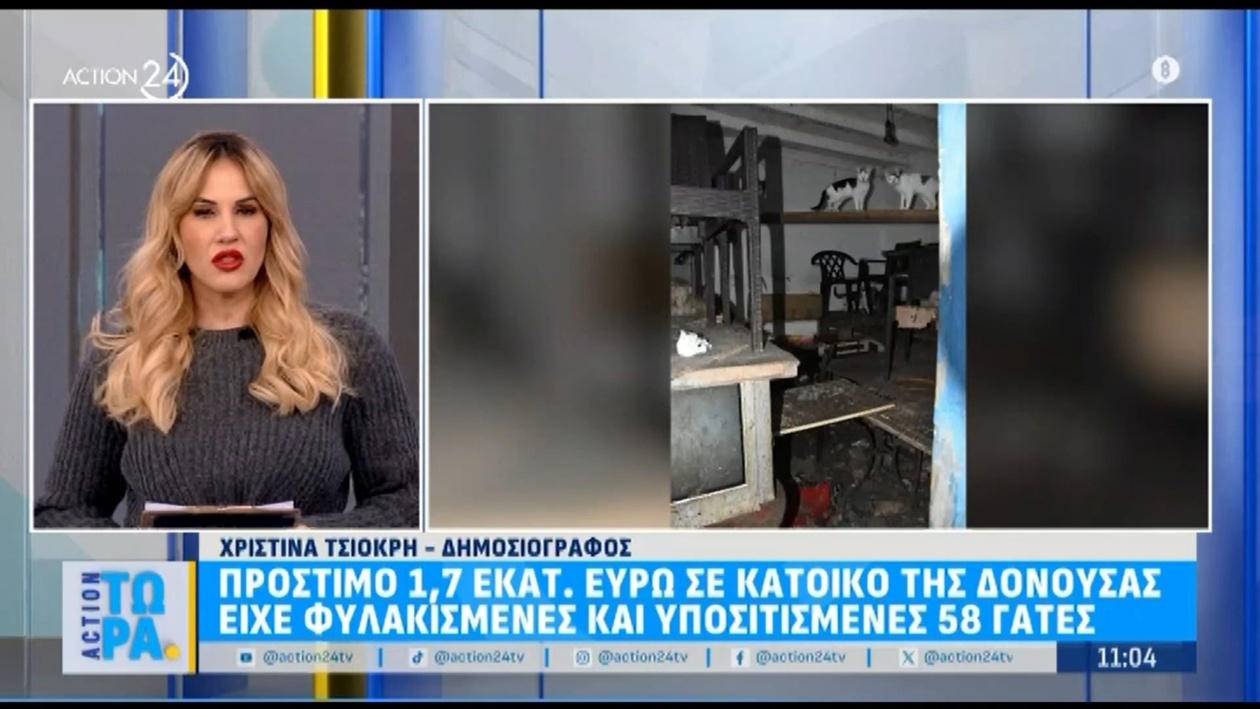 Πρόστιμο 1,7 εκατ. ευρώ σε κάτοικο της Δονούσας για 58 γάτες που κρατούνταν αιχμάλωτες και ήταν υποσιτισμένες
