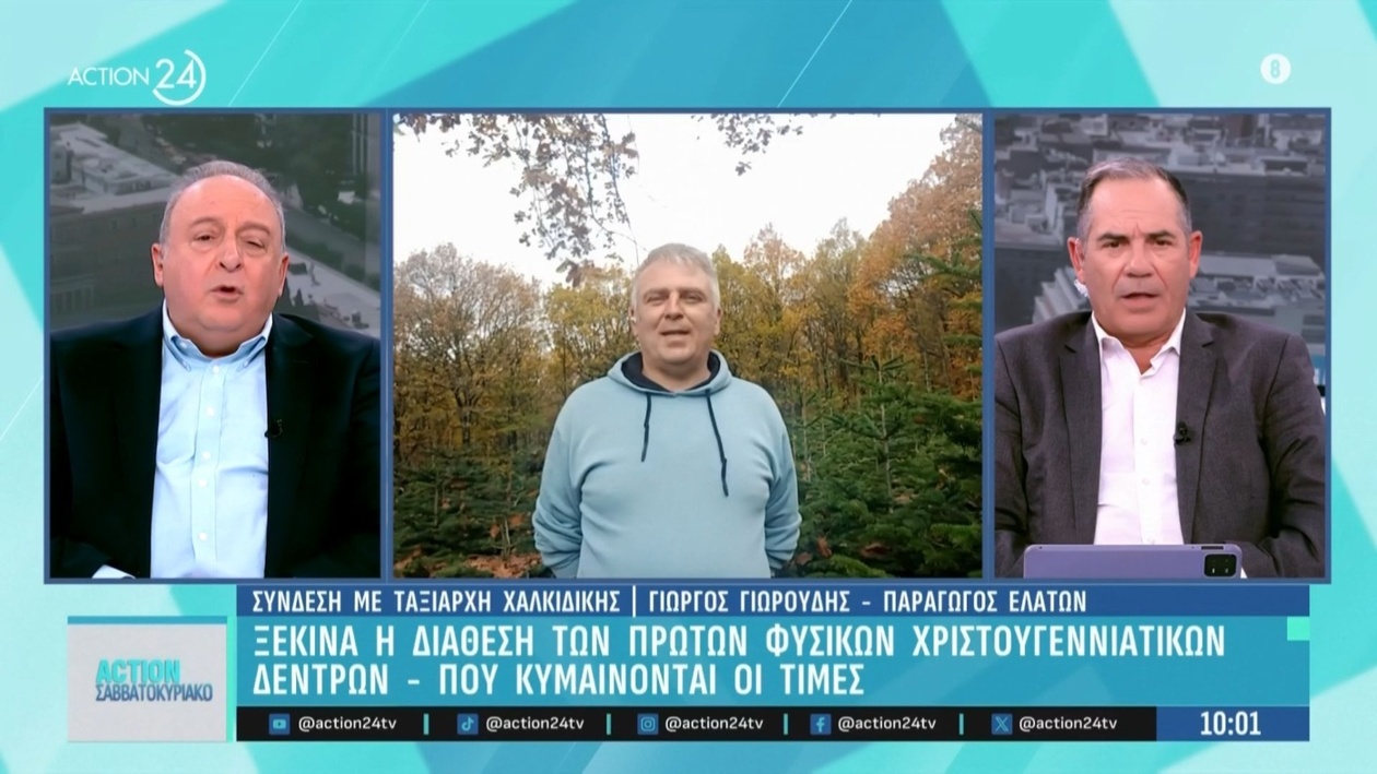 Ξεκίνησε η πώληση των πρώτων φυσικών χριστουγεννιάτικων δέντρων