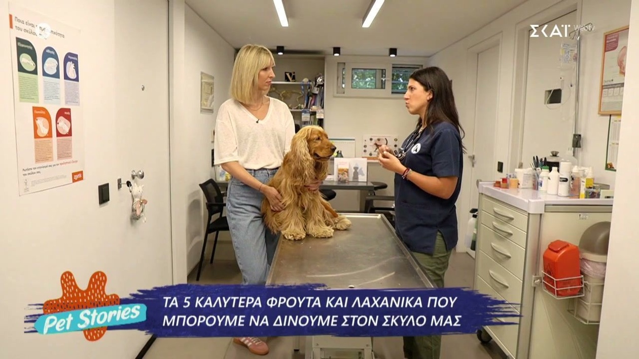 Ένα τηλεοπτικό ταξίδι για τα κατοικίδια
