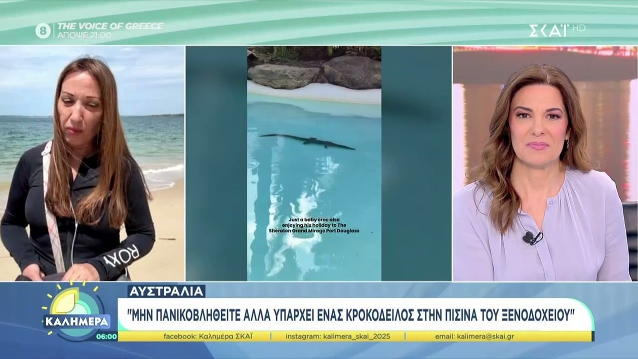 Ένας κροκόδειλος σε πισίνα ξενοδοχείου στην Αυστραλία