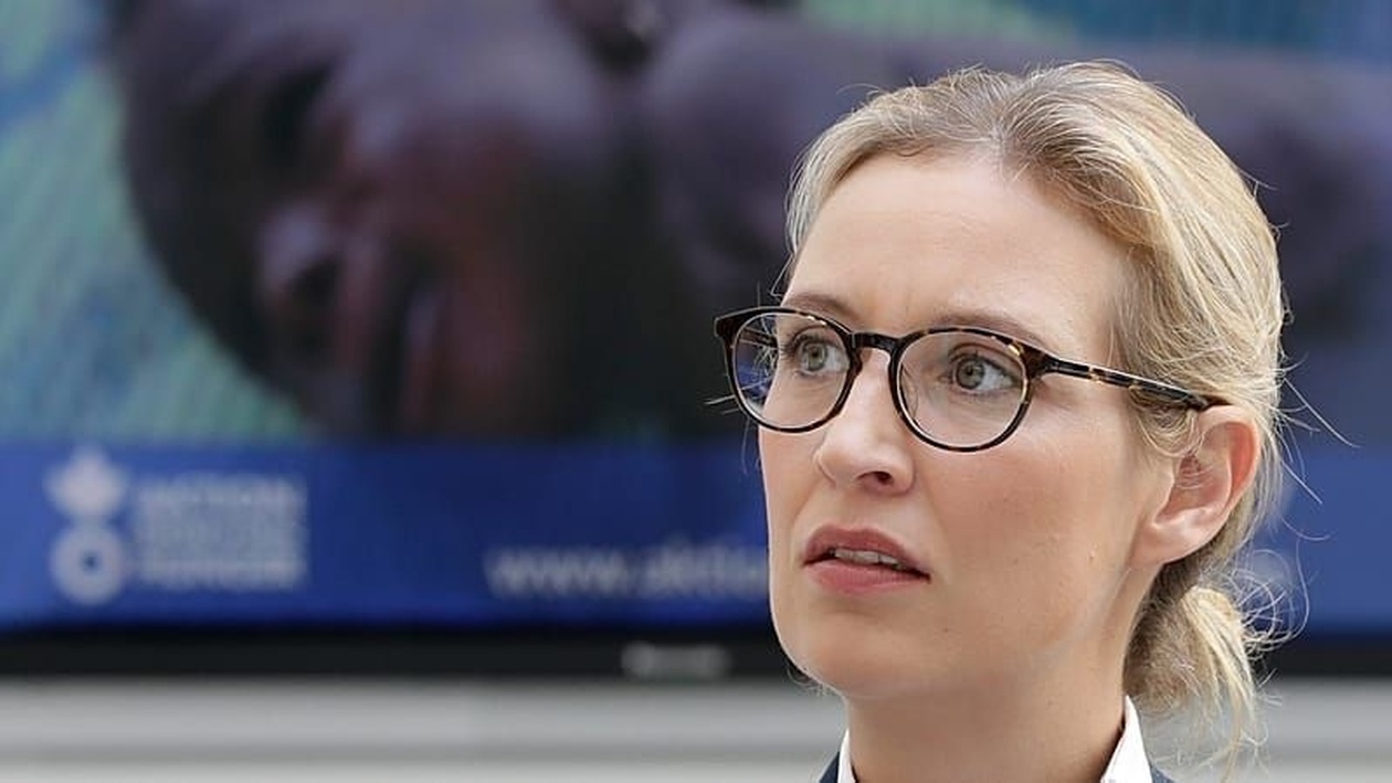 Σχετικά με τους ισχυρισμούς ότι η Άλις Βάιντελ προσκλήθηκε στον Λευκό Οίκο