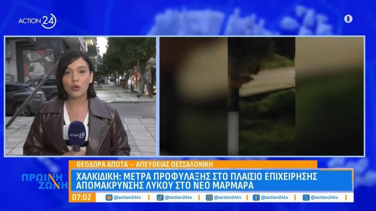 Χαλκιδική, Ελλάδα: Μέτρα προφύλαξης στην επιχείρηση απομάκρυνσης λύκου στο Νέο Μαρμαρά