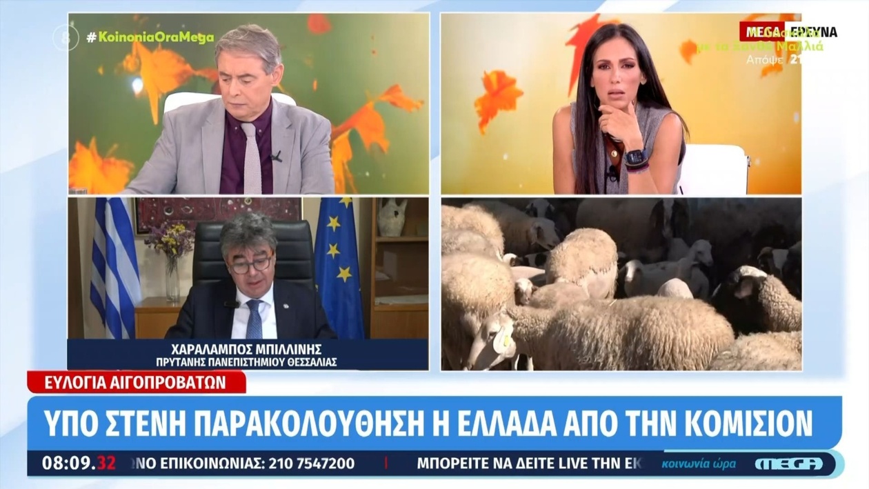 Η ευλογιά αιγοπροβάτων υπό στενή παρακολούθηση της Κομισιόν στην Ελλάδα