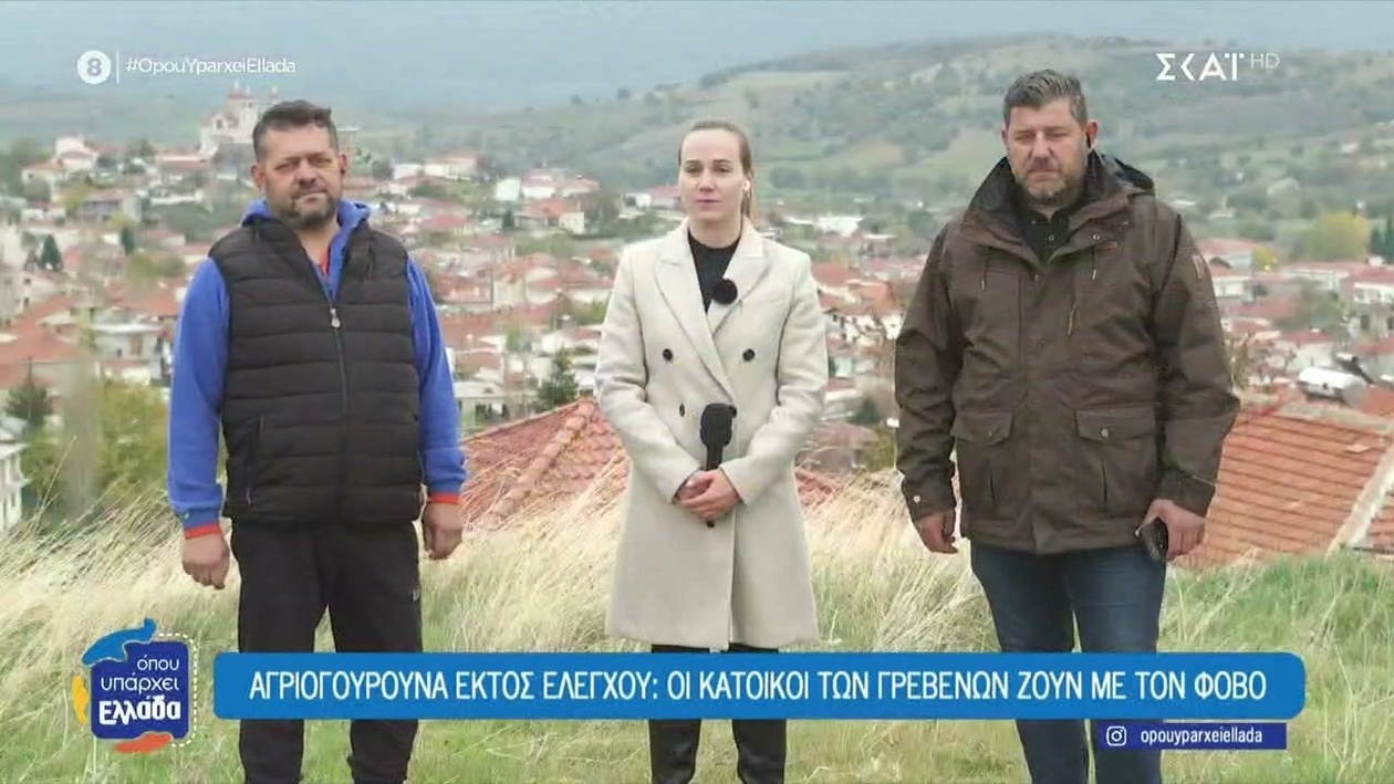 Τα αγριογούρουνα απειλούν την καθημερινότητα των κατοίκων των Γρεβενών