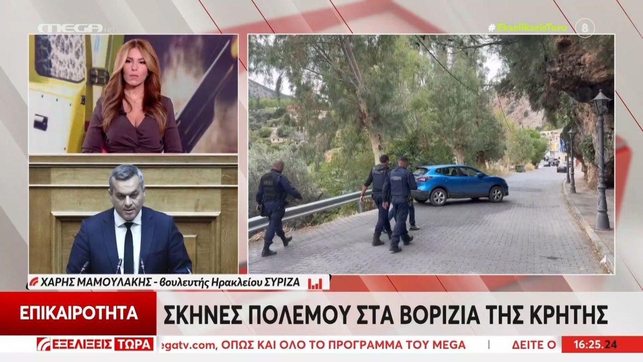 Χάρης Μαμουλάκης προτείνει τον αφοπλισμό του νησιού μετά το μακελειό στα Βορίζια