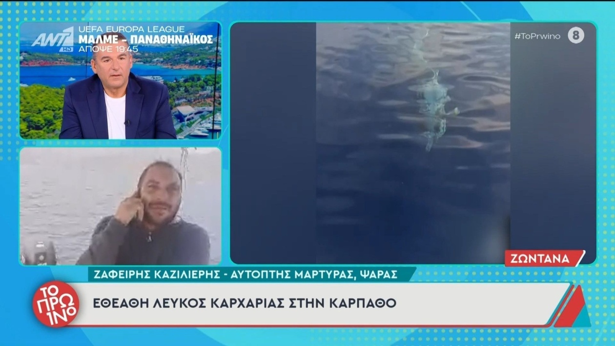 Εντοπίστηκε λευκός καρχαρίας στην Κάρπαθο