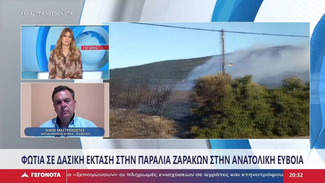 Ο Αντιδήμαρχος Κύμης-Αλιβερίου για την Κρίσιμη Πυρκαγιά στους Ζάρακες