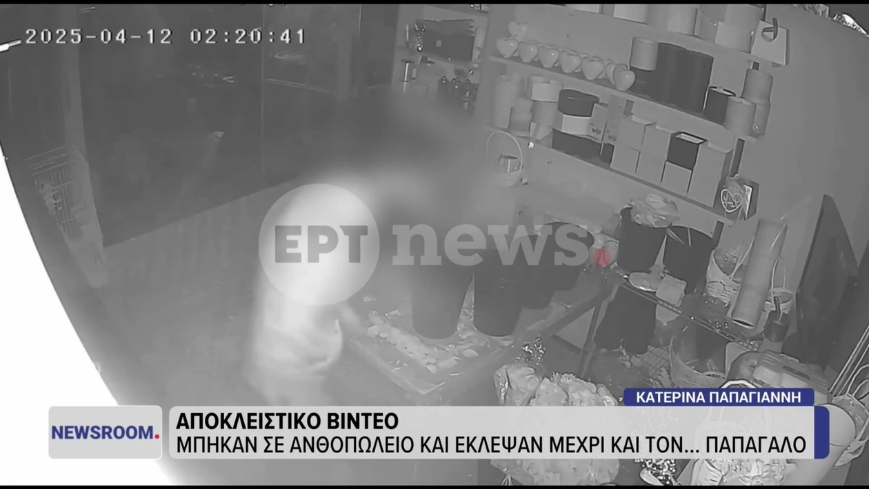 Ληστεία σε ανθοπωλείο στη Νέα Φιλαδέλφεια: τα λουλούδια άθικτα αλλά τα κλαπέντα αντικείμενα αφαιρέθηκαν