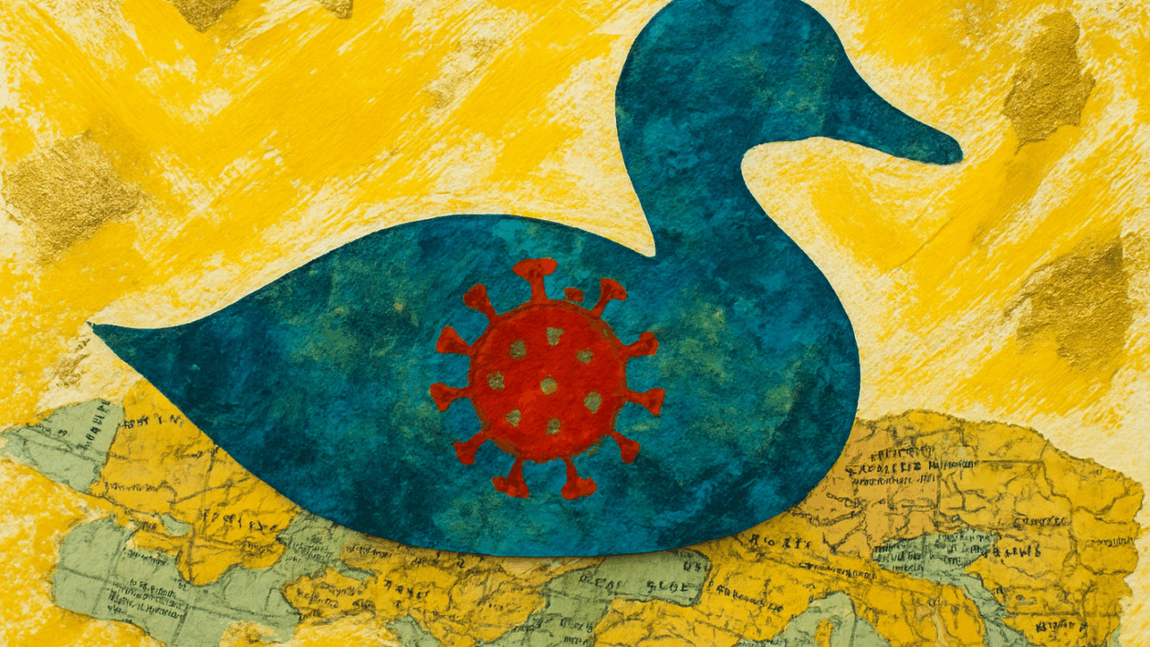 Γρίπη των πτηνών: Σήμα κινδύνου από το ECDC για «άνευ προηγουμένου» διασπορά