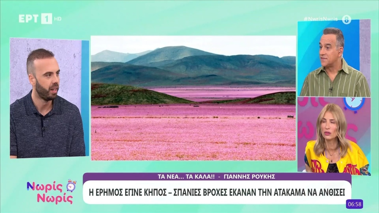 Η έρημος Ατακάμα ανθίζει μετά από σπάνιες βροχοπτώσεις