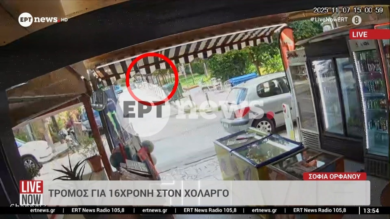 Ο φόβος για μια 16χρονη κοπέλα στον Χολαργό