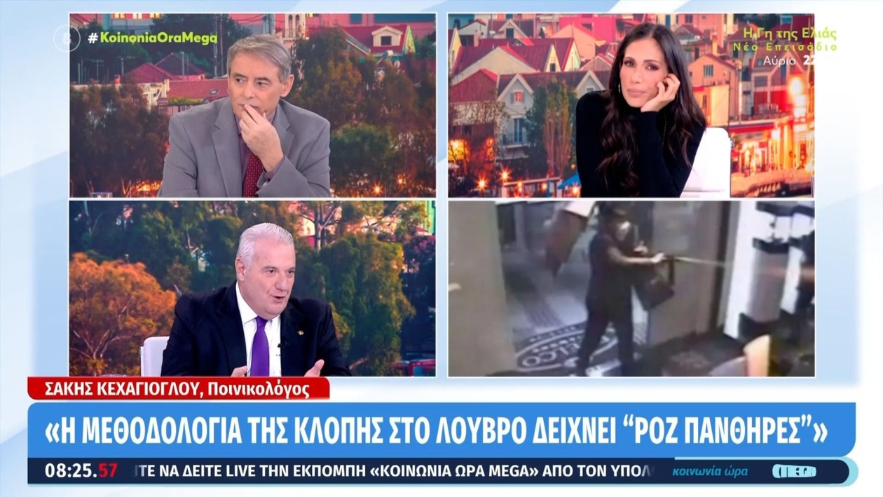 Οι «Ροζ Πάνθηρες» και η Σύνδεση με την Κλοπή στο Λούβρο: Η Ανάλυση Ειδικού