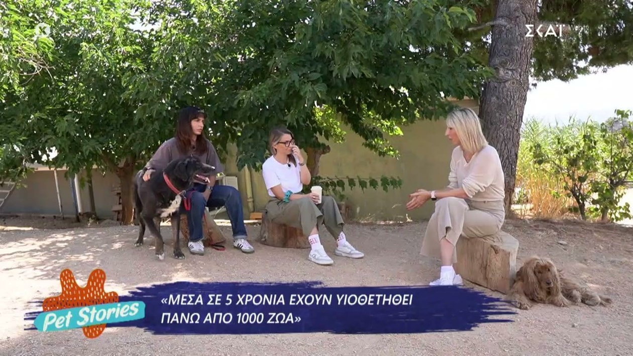 Η δύναμη της φροντίδας στα Pet Stories με επίκεντρο καταφύγια όπως το A Little Shelter