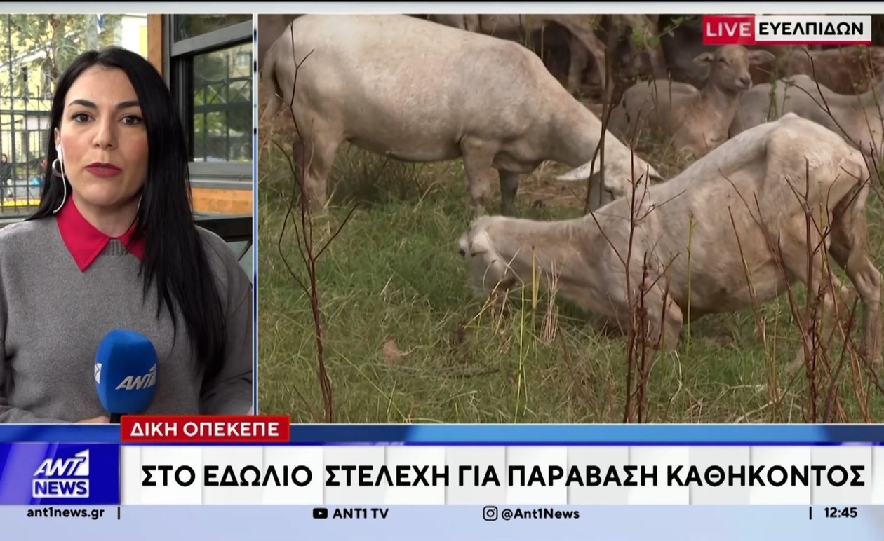 Η Δίκη των Στελεχών του ΟΠΕΚΕΠΕ για Παραβίαση Καθηκόντων Ξεκίνησε