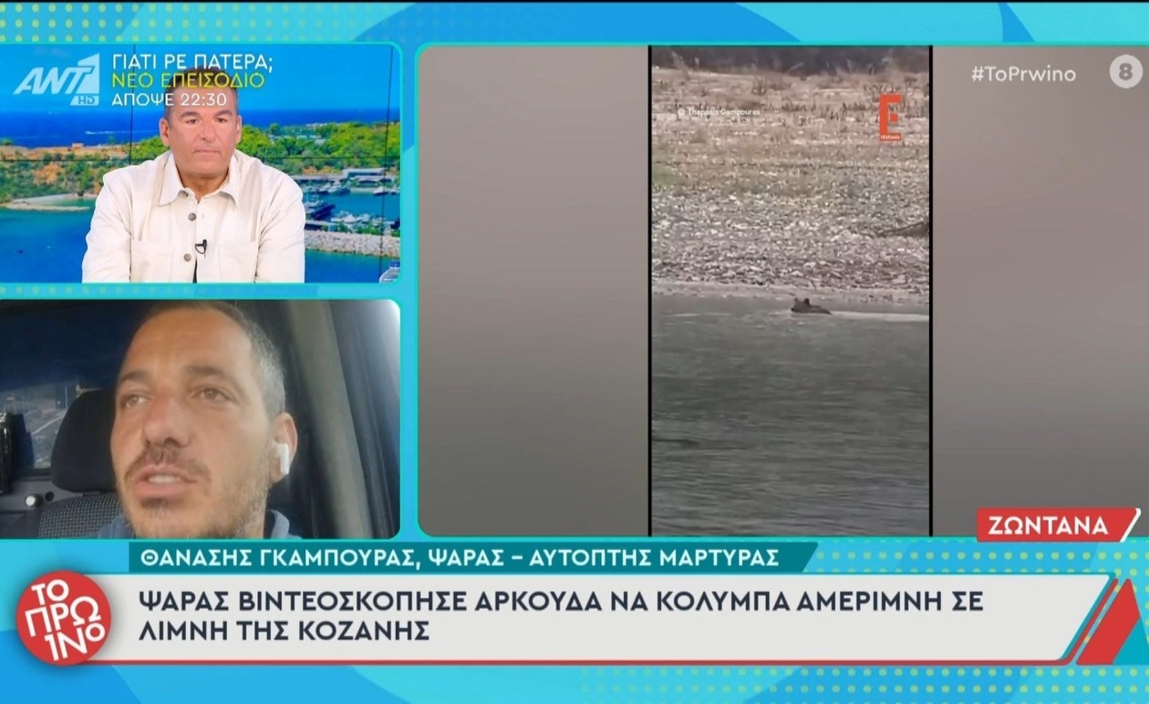 Ψαράς καταγράφει αρκούδα να κολυμπά σε λίμνη της Κοζάνης