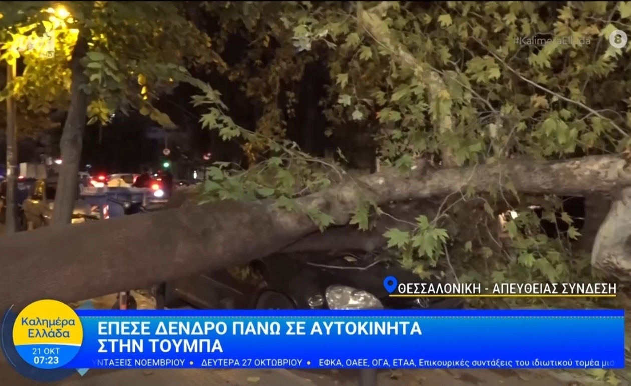 Στη Θεσσαλονίκη δέντρο έπεσε σε σταθμευμένα οχήματα στην Τούμπα