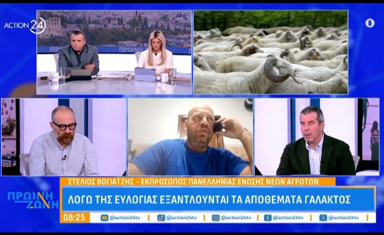 Ανησυχία για Ελλείψεις Γάλακτος: Η Ευλογιά Απειλεί την Κτηνοτροφία