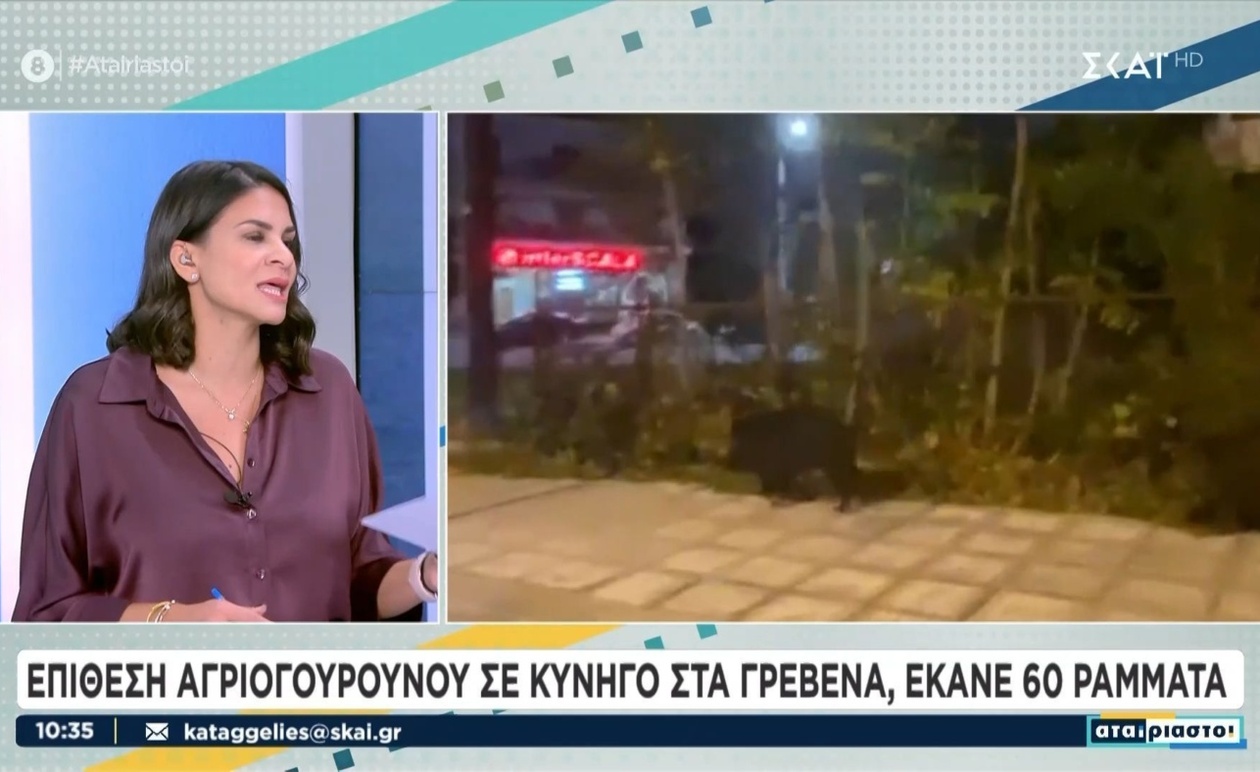 Ο κυνηγός που τραυματίστηκε από αγριογούρουνο στα Γρεβενά