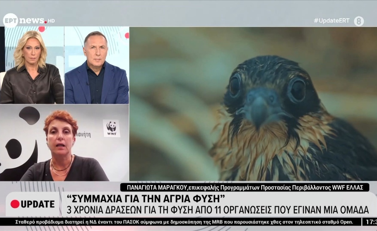 Η Συμμαχία για την Άγρια Φύση και η Τριετής Προσπάθεια για την Προστασία του Περιβάλλοντος