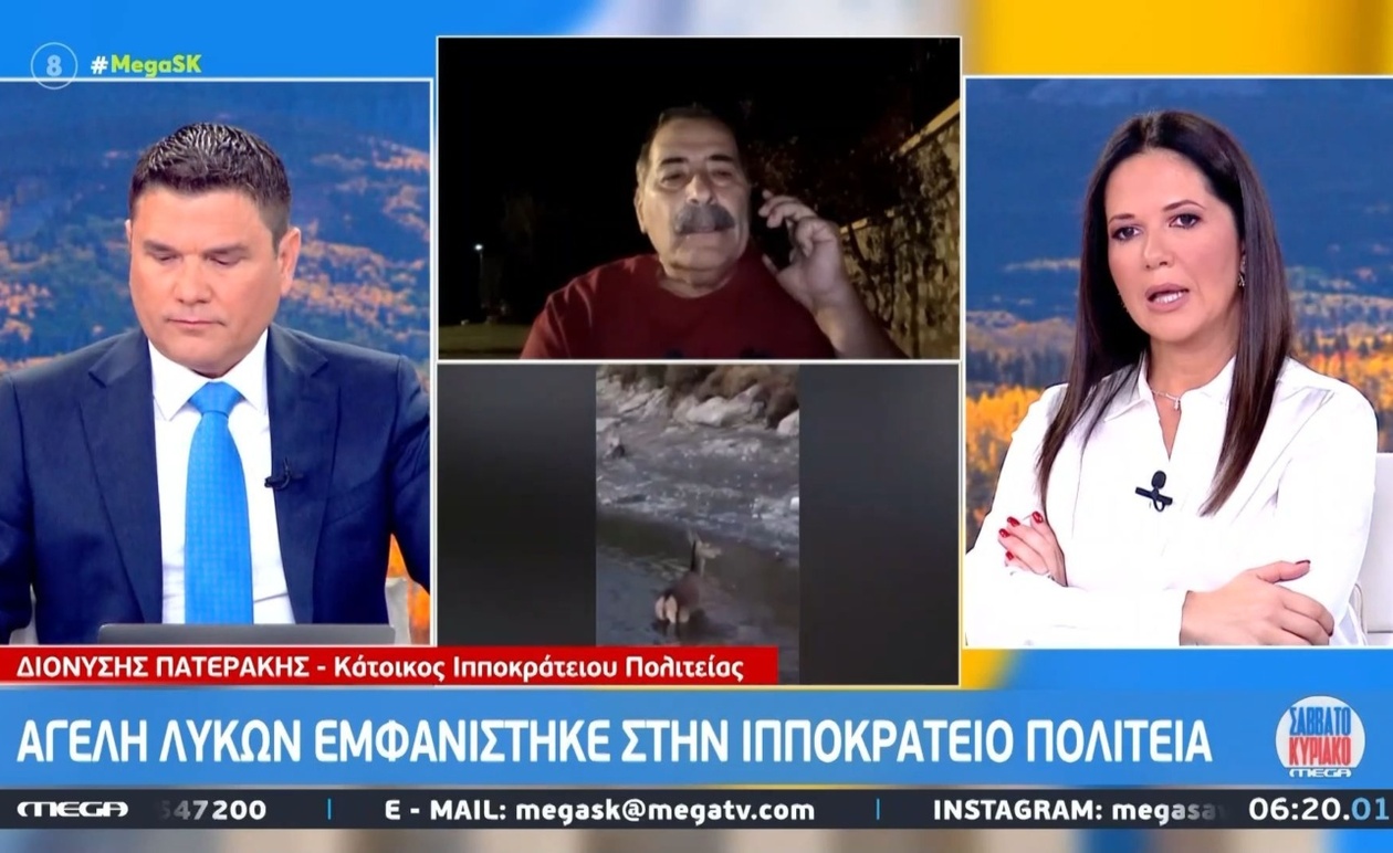 Η εμφάνιση αγέλης λύκων στην Ιπποκράτειο Πολιτεία
