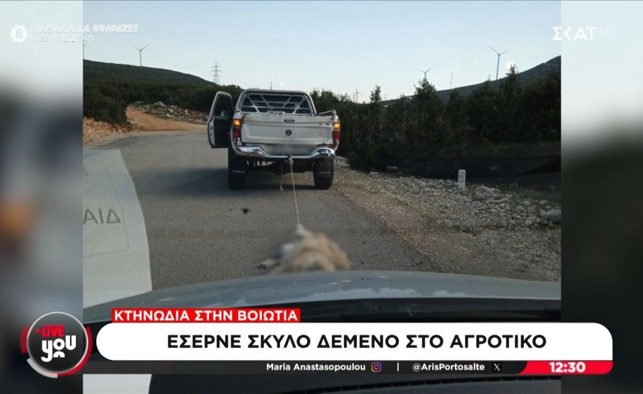 Ένας οδηγός στη Βοιωτία σύρει ένα νεκρό σκύλο
