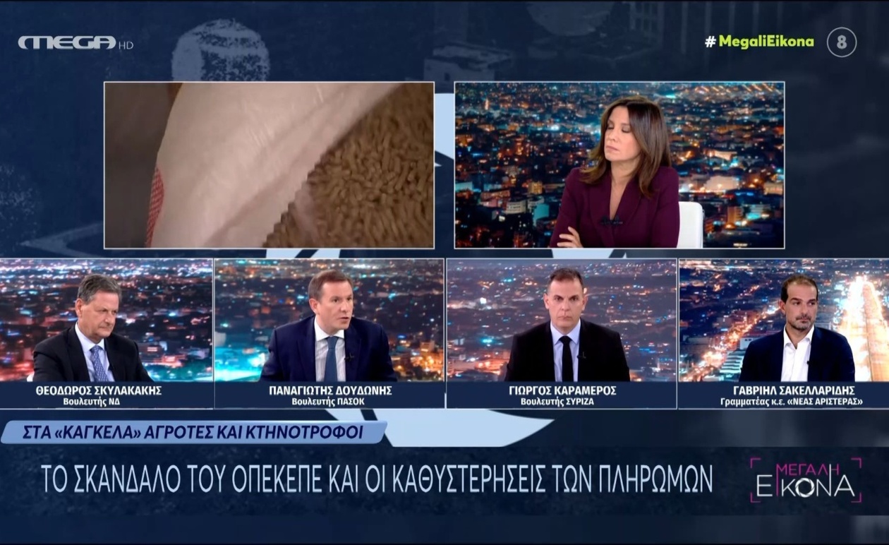 Π. Δουδωνής επικρίνει τη διοίκηση του ΟΠΕΚΕΠΕ