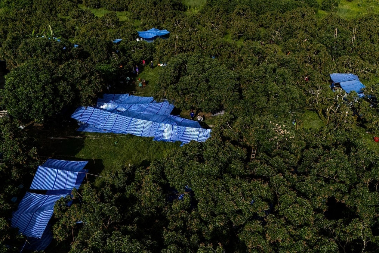 Χιλιάδες πρόσφυγες από τη Μιανμάρ αποκτούν νόμιμα εργασιακά δικαιώματα στην Ταϊλάνδη