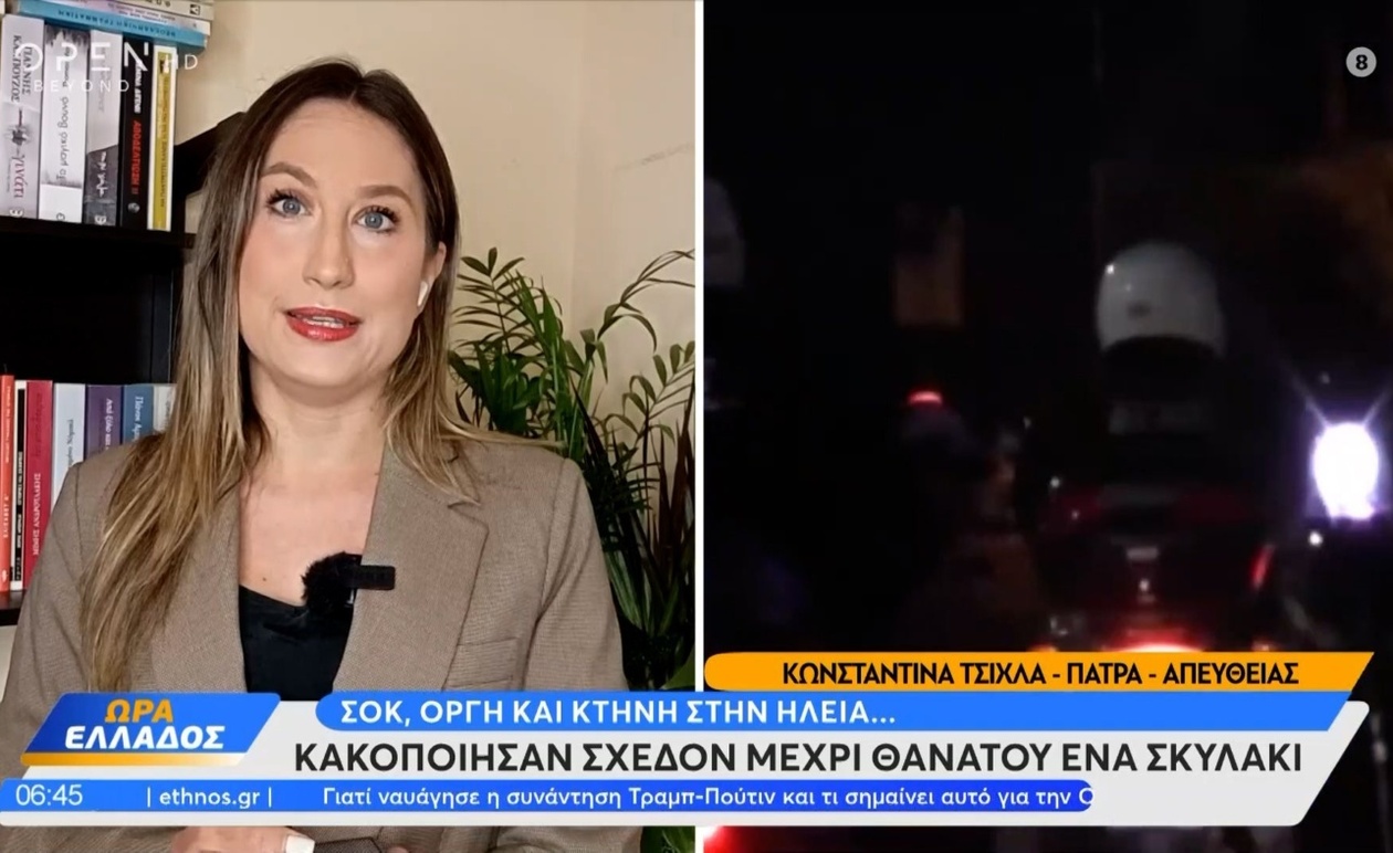 Σοκ στην Ηλεία από ακραία κακοποίηση σκύλου στο Επιτάλιο