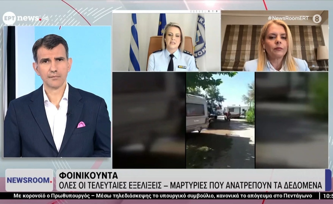 Η Φοινικούντα: τελευταίες εξελίξεις μετά τις νέες μαρτυρίες