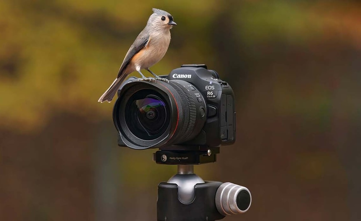 Η Canon EOS R6 III 32.5MP με 7K RAW βίντεο ανακοινώθηκε