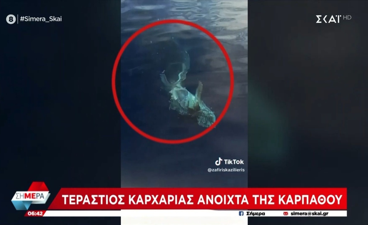 Ένας γιγάντιος καρχαρίας στα ανοιχτά της Καρπάθου