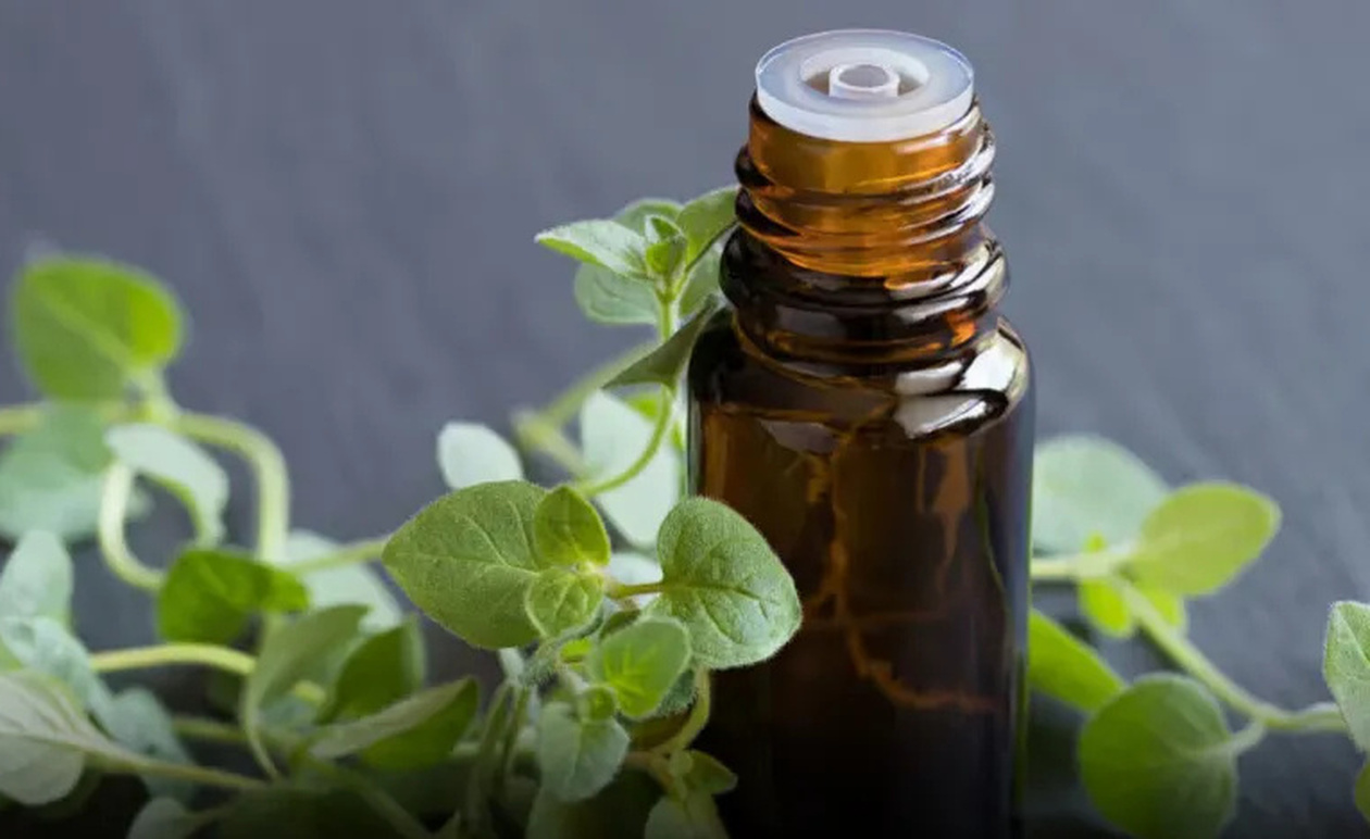 Ριγανέλαιο: Πώς χρησιμοποιείται για μικρόβια, ιούς, μύκητες και παράσιτα