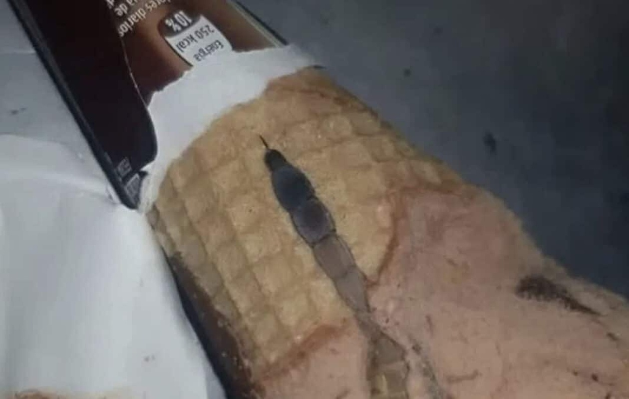 Η κόρη μου άνοιξε ένα παγωτό χωνάκι και βρήκε κάτι παράξενο μέσα, μείναμε άφωνοι όταν συνειδητοποιήσαμε τι ήταν