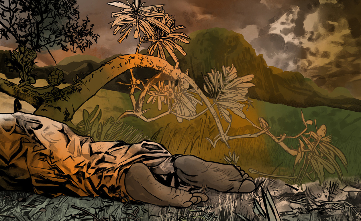 TotalEnergies: Γαλλική μήνυση για συνενοχή σε εγκλήματα πολέμου στη Μοζαμβίκη