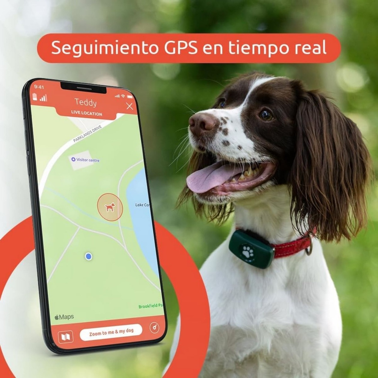 GPS ιχνηλάτες για την παρακολούθηση της υγείας σκύλων και γατών