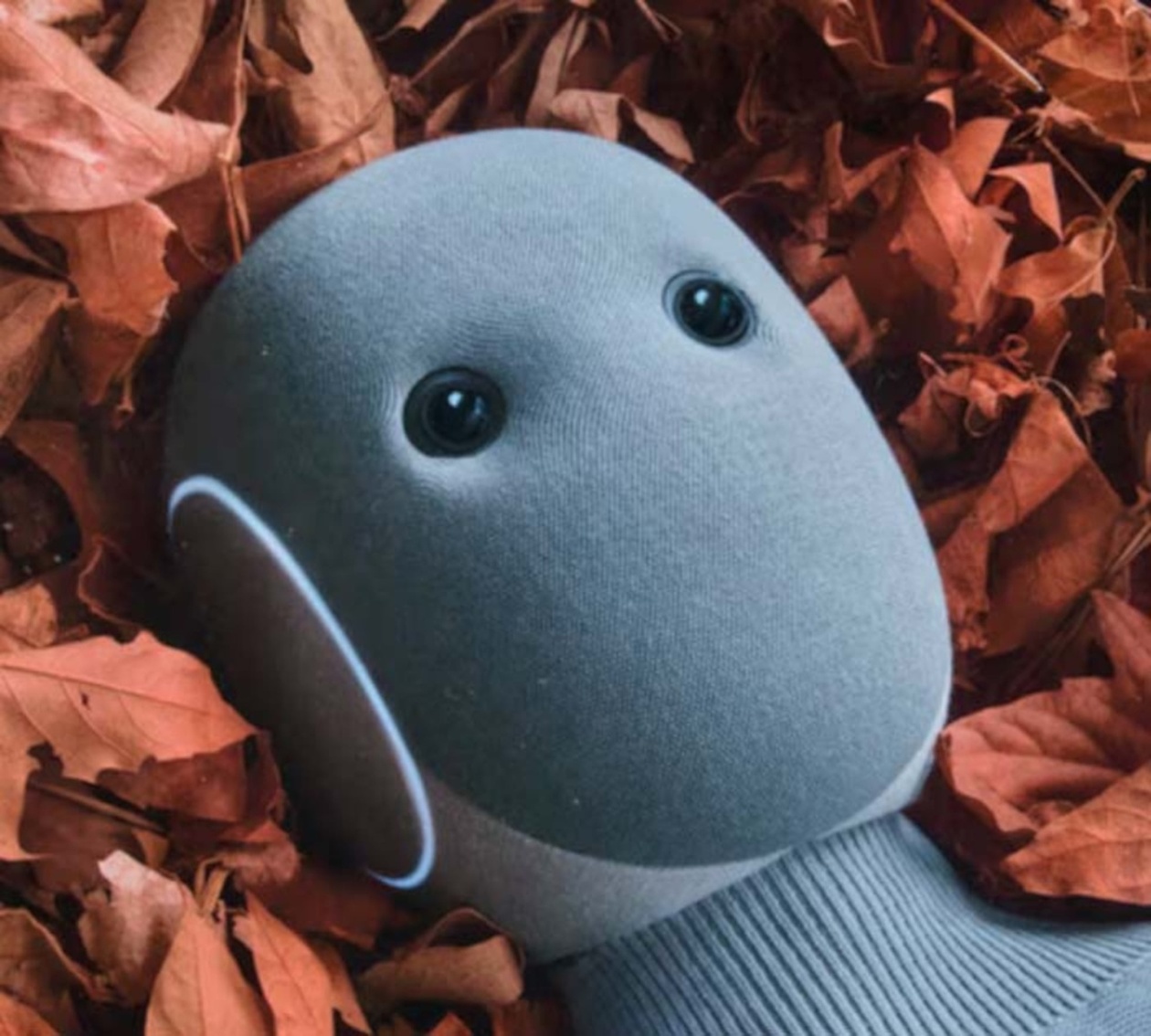 Το ρομπότ Neo φέρνει ρομποτική στο σπίτι με μεγάλο κόστος