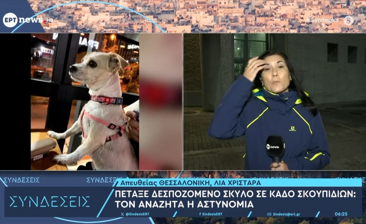 Ένας δεσποζόμενος σκύλος βρέθηκε εγκαταλελειμμένος μέσα σε κάδο απορριμμάτων. Η αστυνομία διερευνά