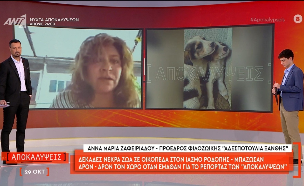 Δεκάδες ζώα βρέθηκαν νεκρά σε οικόπεδα του Ίασμου