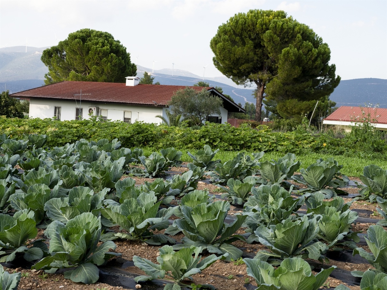 Προετοιμασία για τη ζωή μετά την αποφυλάκιση